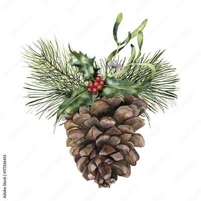 pine cone